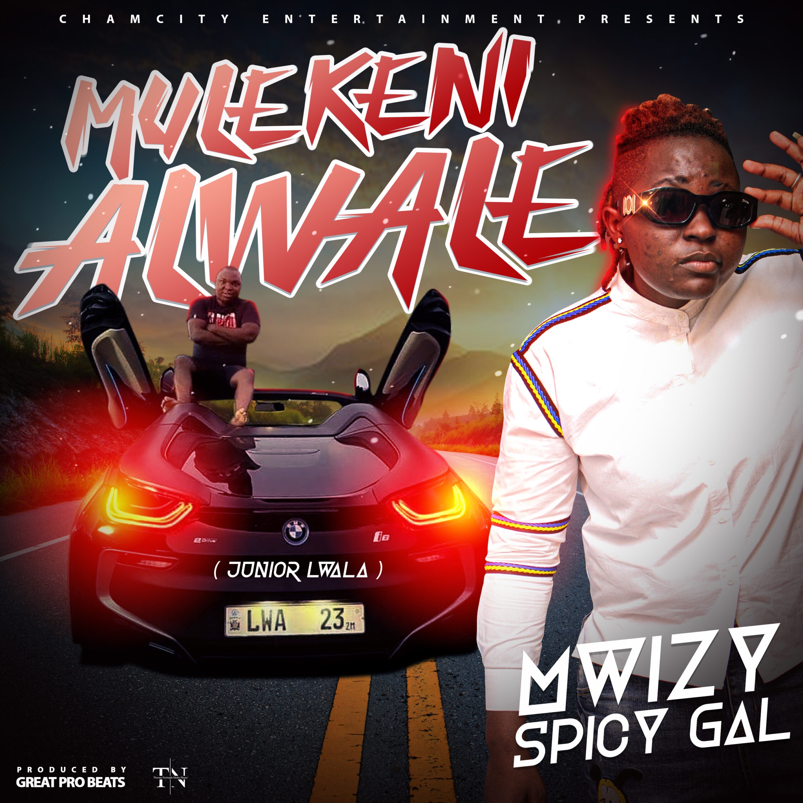 Mwizy - Mulekeni Alwale